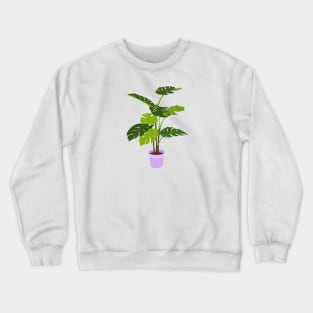 Potted Monstera Plant Purple Crewneck Sweatshirt